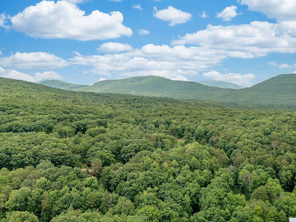 81 Barnum Rd, East Jewett, NY 12424 Zillow