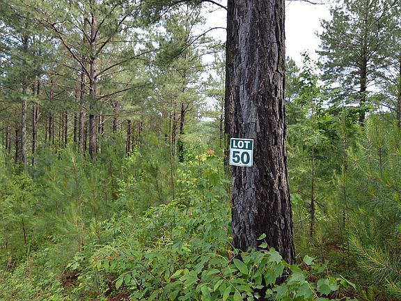 3rd image of LOT 50 Pinehurst Rd