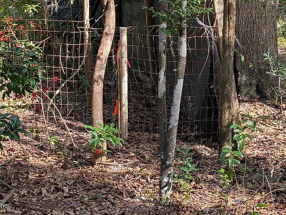 4th image of 000 HARRIS FISH CAMP Road