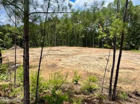 278 Poplar Springs Rd, Mendenhall, MS 39114