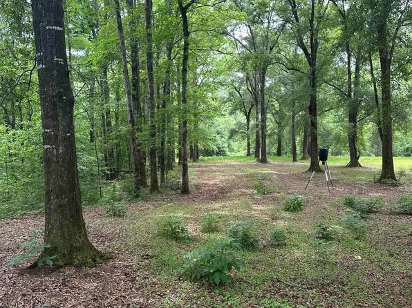 0 E Bethlehem Rd, Jackson, AL 36545