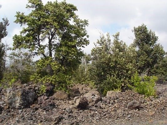 1st image of Kona Dr Lot 35