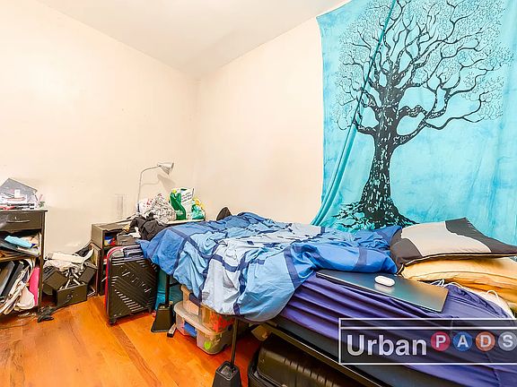 5th image of 891 Saint Johns Pl APT 1L