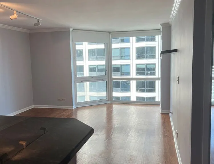 195 N Harbor Dr #3807 — Photo 5