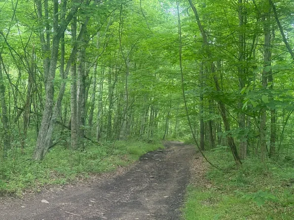 Land Greasy Rdg, Sandy Hook, KY 41171