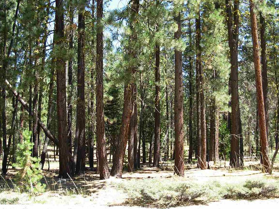 2nd image of 7140 Rim Dr
