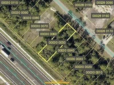 168 Meadow Rd, Lehigh Acres, FL, 33973