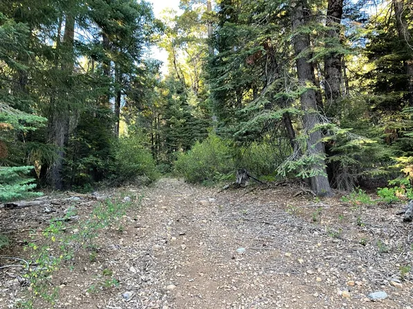 800 Mammoth Springs Rd, Alleghany, CA 95910