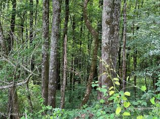 Highway 35, Carthage, MS 39051