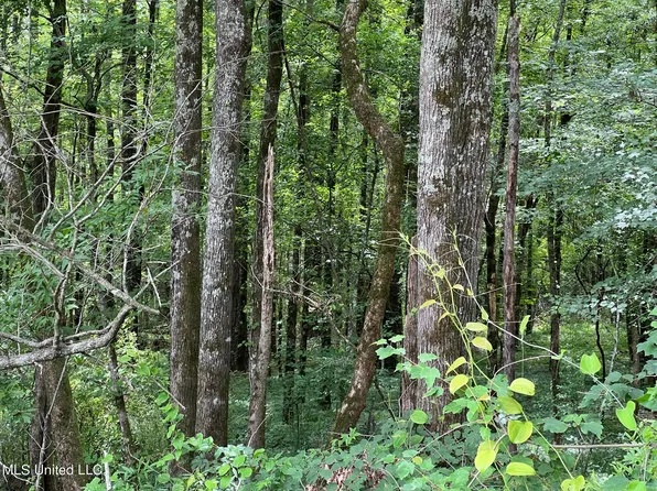 Highway 35, Carthage, MS 39051