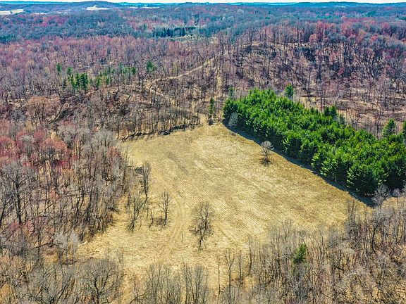 2nd image of Lowes Creek Rd