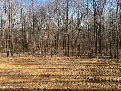 Longtown Rd, Sarah, MS, 38665