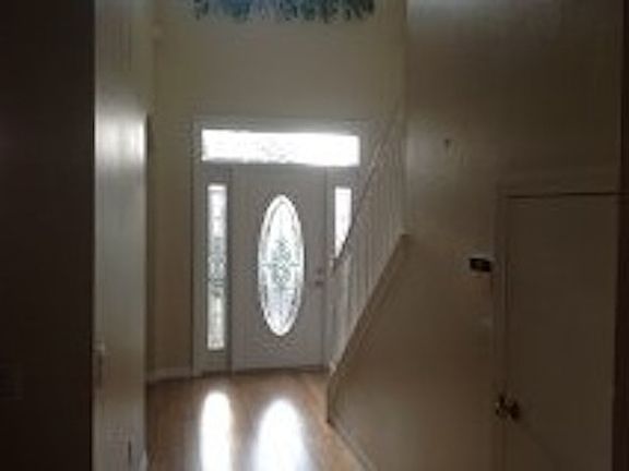 3rd image of 242 Palmetto Springs St