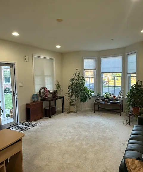 Large living room