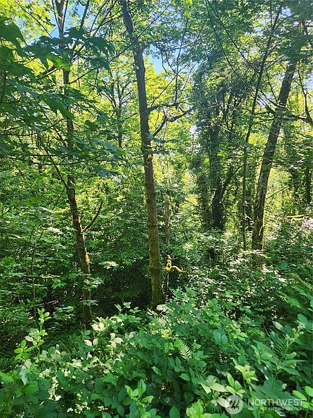 3rd image of 0 Morgan Road NW