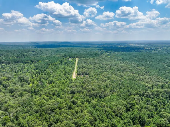 229 Private Road 3900 Rd, Gilmer, TX 75644