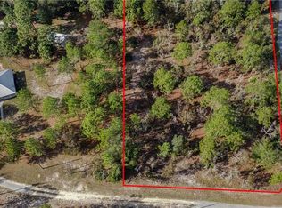 6159 W Pell Pl, Dunnellon, FL 34433