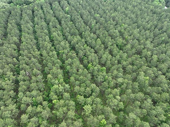 2nd image of 0 Warren Camp Rd