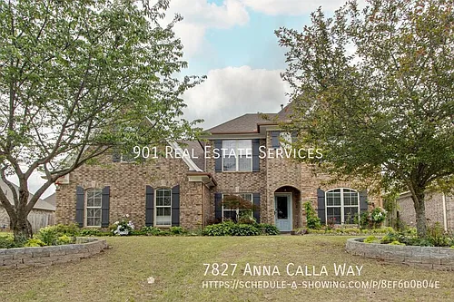 7827 Anna Calla Way Photo 1