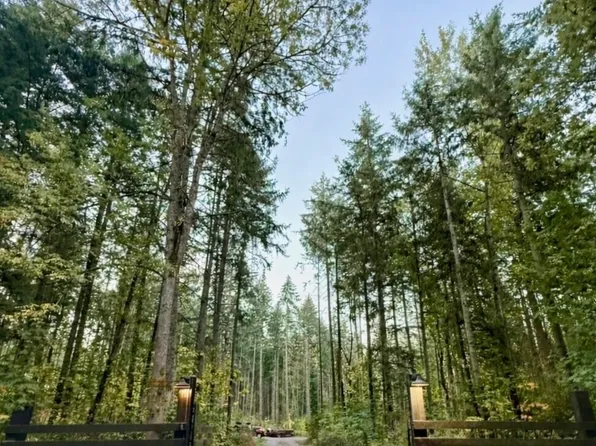 18311 Shenandoah Lane SE, Yelm, WA 98597