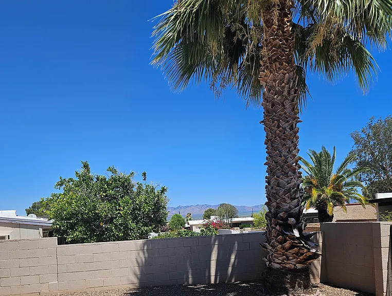 437 W San Ignacio — Photo 13