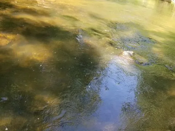 89 Summerset Ln, Independence, VA 24348