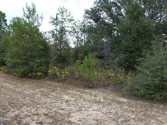2nd image of LOT 9 Academy Pl