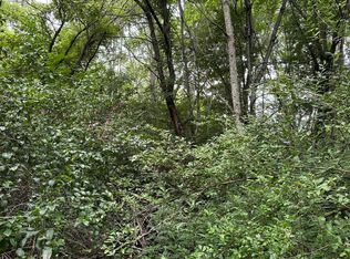 Raders Valley Rd, Williamsburg, WV 24991