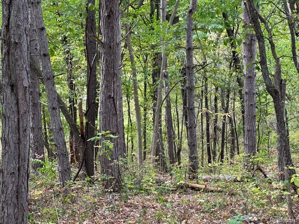 NULLA Denton Hill Rd, Fenton, MI 48430