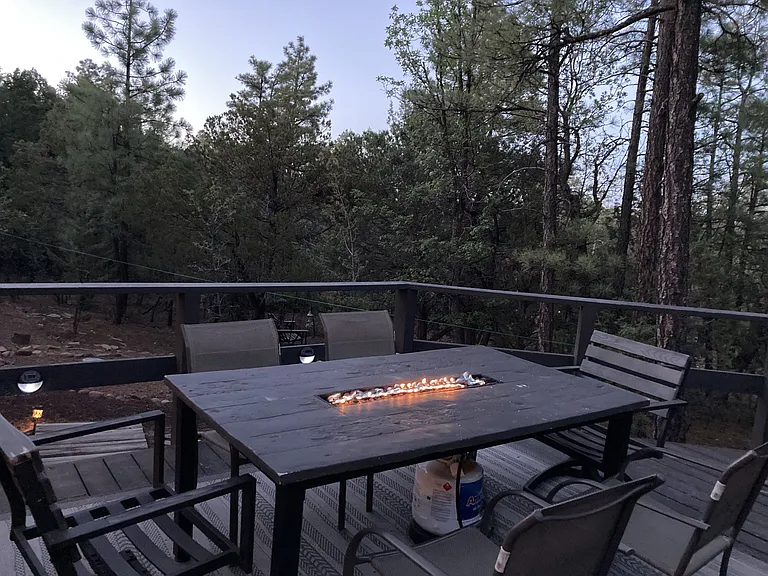 3239 Pine Needle Dr — Photo 17