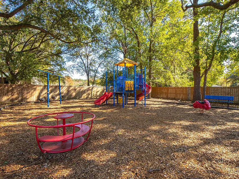 Palmetto Grove — Photo 12
