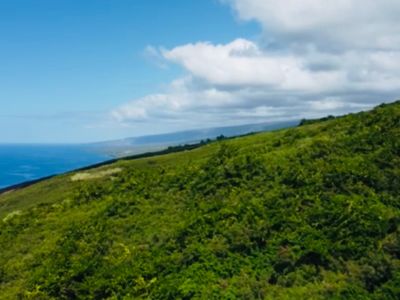 110 Ea Rd, Captain Cook, HI, 96704