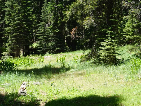 1116 Highlands Rd, Quincy, CA 95971