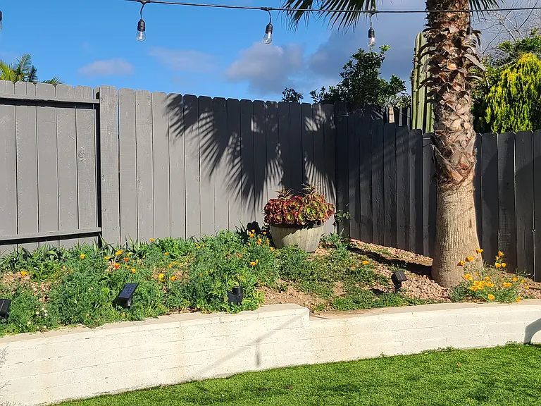 4676 Doliva Dr — Photo 15