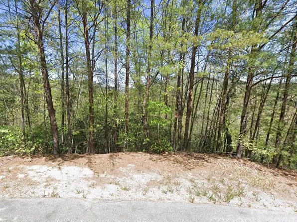 595 Quail Ridge Blvd, Lake Lure, NC 28746