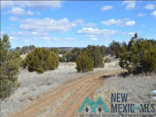 81 Great White Father Rd, Pinehill, NM 87357