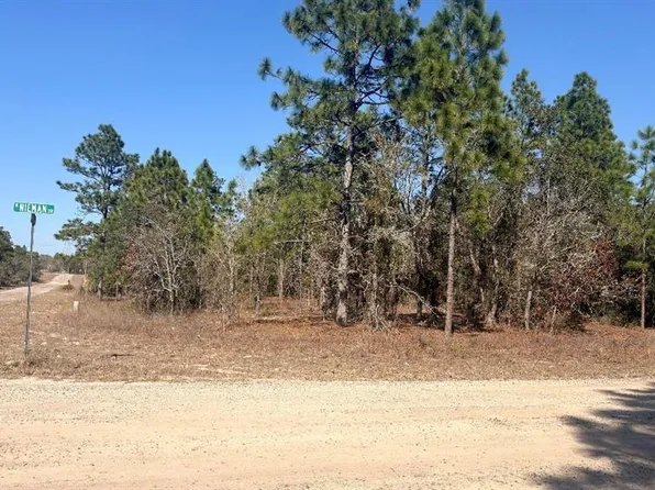6501 N Winlock Ter Lot 12, Dunnellon, FL 34433