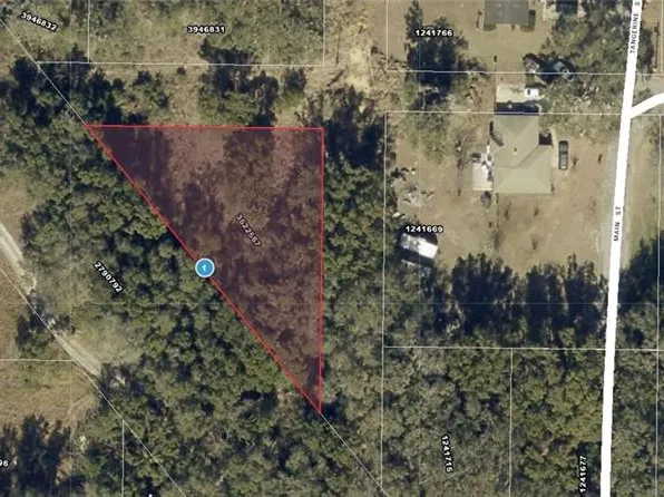 xxx Tangerine ST, YALAHA, FL 34797