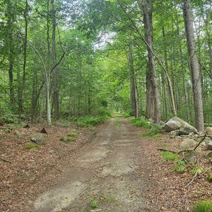 0 Lynes Rd, Chester, MA, 01011