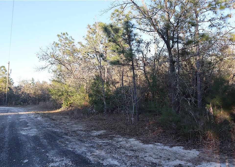 2nd image of 10078 N Bye Point