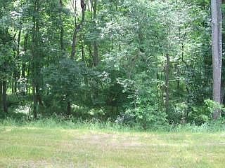 2nd image of 4110 Milford Landing Dr