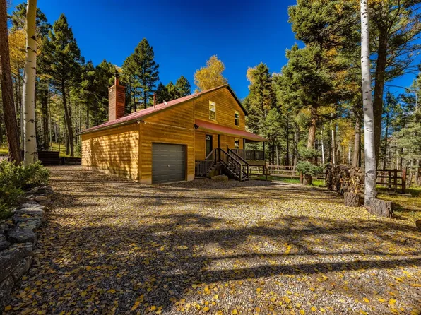 14 Chino Ter, Angel Fire, NM 87710