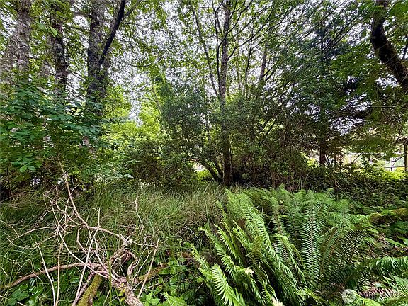 4th image of 772 Island Circle SE