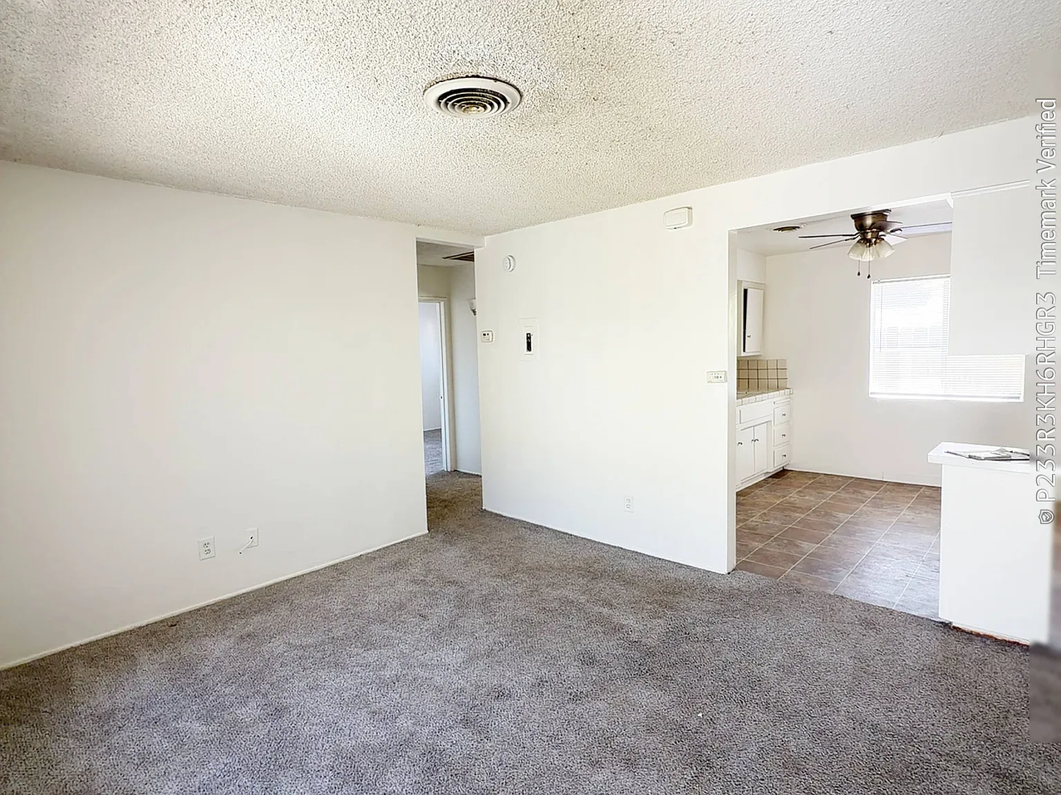 2 bed, $1,200 — Photo 3