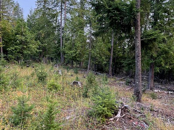 3rd image of Nna Grouse Mountain Rd