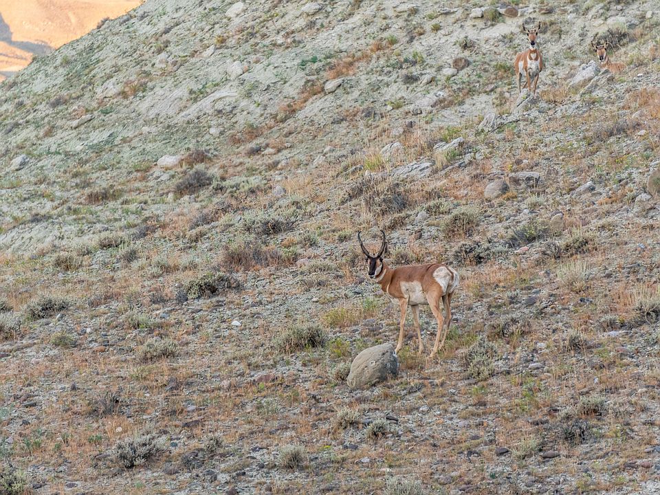 0 Burma Rd, Riverton, WY 82501 Zillow
