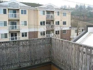 1 bed, 681 sqft, $1,450 — Photo 4