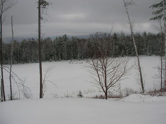 Snowy Pasture View
