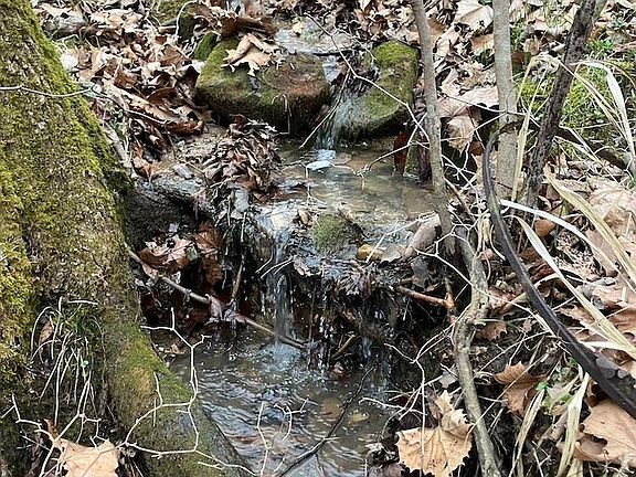 3rd image of Old 66 Rd