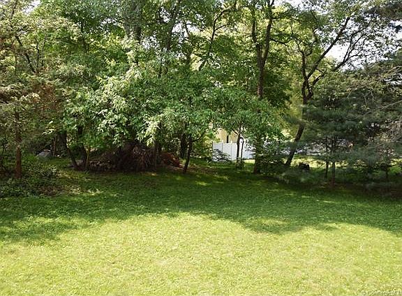 Level very green back yard ...